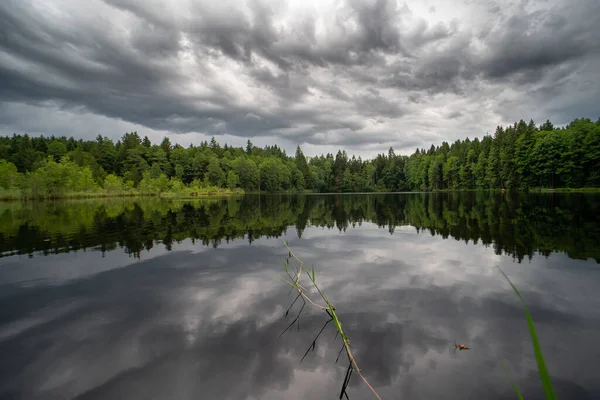 Неповторний Вид Озера Оточеного Зеленими Деревами Під Хмарним Небом Німеччині — стокове фото