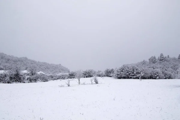 Μια Ανατριχιαστική Άποψη Ενός Χιονισμένου Πεδίου Στη Γεωργία — Φωτογραφία Αρχείου