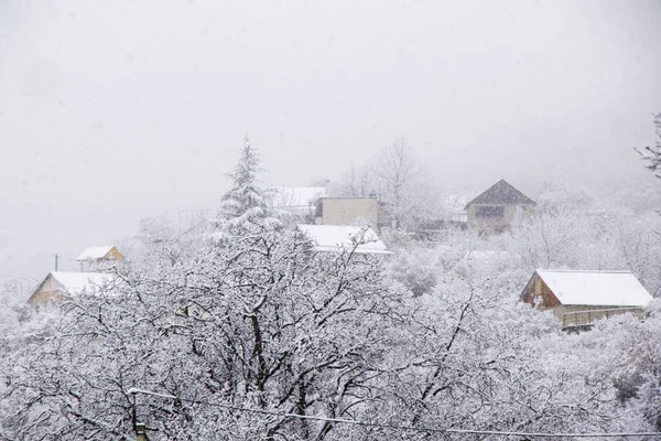 Une Vue Glaciale Des Arbres Enneigés Sur Village Géorgie — Photo