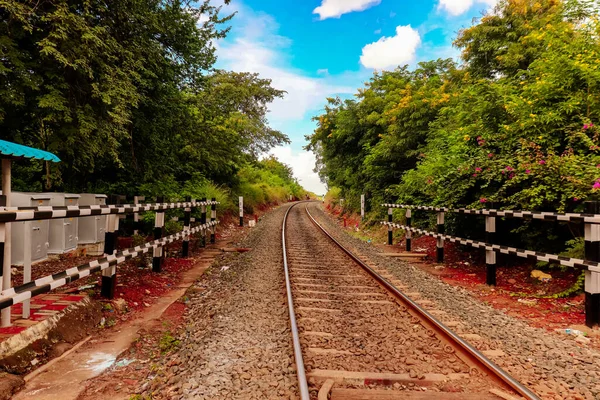Железнодорожные Пути Окружены Зелеными Деревьями Облачным Небом — стоковое фото