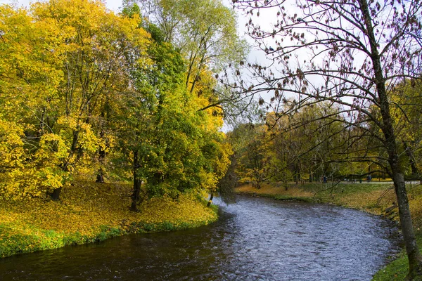Una Hermosa Toma Famoso Parque Centro Ciudad Vilna Lituania Otoño — Foto de Stock