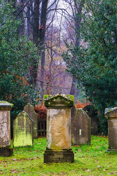 Tiro Vertical Lápides Antigas Cemitério Judaico Uma Floresta Outono — Fotografia de Stock