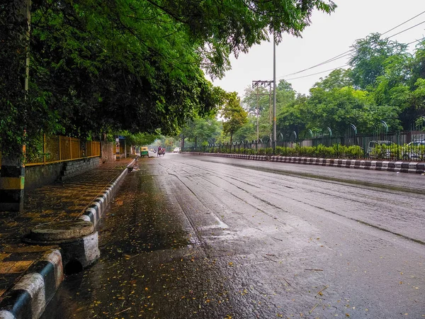 緑豊かな緑に囲まれたぬれた通りと雨の春の朝 — ストック写真