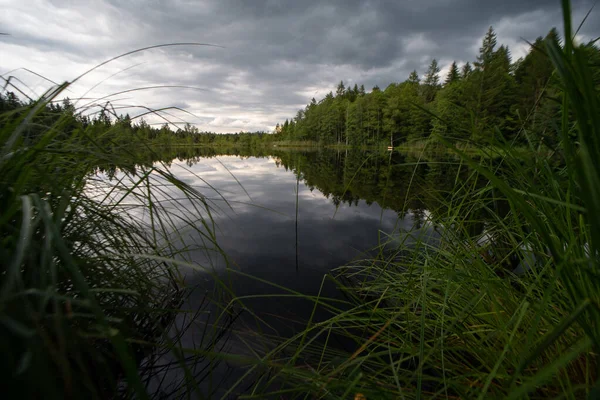 Une Vue Fascinante Lac Entouré Arbres Verts Sous Ciel Nuageux — Photo