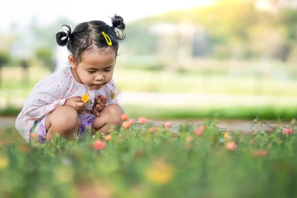 Una Linda Niña Tailandesa Recogiendo Flores Campo — Foto de Stock