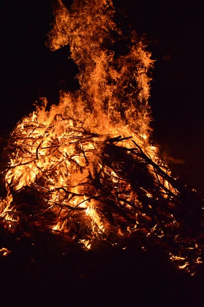 Disparo Vertical Llamas Fuego Brillantes Ardiendo Parte Superior Ramas Árboles —  Fotos de Stock