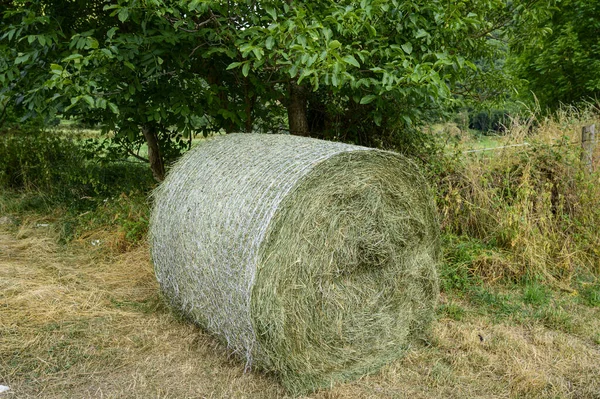 Een Grote Stapel Hooi Het Veld — Stockfoto