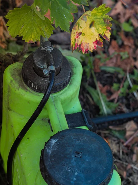 Yapraklarla Çevrili Yeşil Bir Plastik Sulama Aracının Dikey Çekimi — Stok fotoğraf