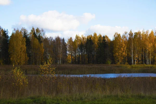 Hermoso Paisaje Rural Con Pequeño Lago Bajo Cielo Nublado — Foto de Stock