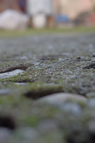 Een Close Shot Van Een Stenen Muur Met Mos Met — Stockfoto