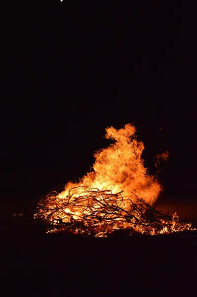 在黑色的背景上 从干枯的树枝上发出一道垂直的明亮的火光 — 图库照片