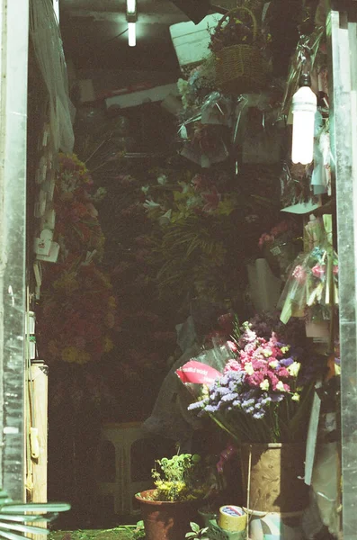 Vertical Shot Flower Sho — Stock Photo, Image