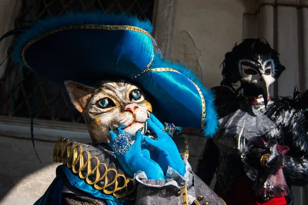 Samiec Samica Maskach Dla Kotów Ptaków Oraz Kostiumach Karnawałowych Wenecji — Zdjęcie stockowe