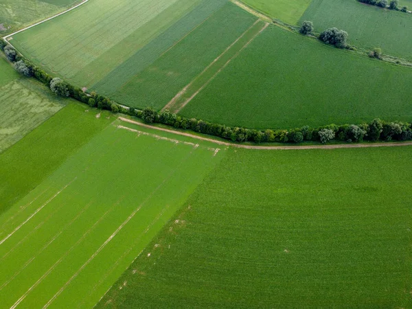 Een Luchtfoto Van Groene Cultuurvelden — Stockfoto