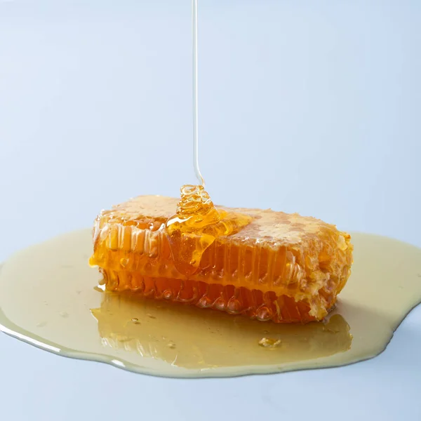 Honey Comb White Background — Stock Photo, Image