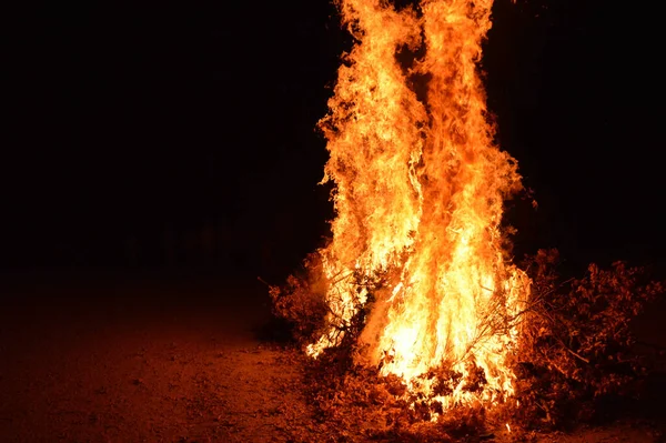 Primer Plano Pequeñas Ramas Árboles Ardiendo Suelo Con Grandes Llamas —  Fotos de Stock