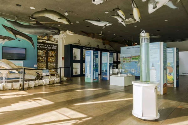 Malaga Espanha Ago 2019 Interior Museu Marítimo Alborania Aula Del — Fotografia de Stock