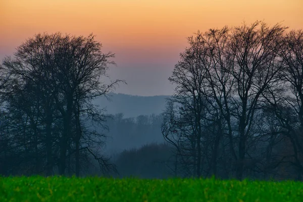 Cielo Tramonto Mozzafiato Dietro Alberi Nudi Campo — Foto Stock