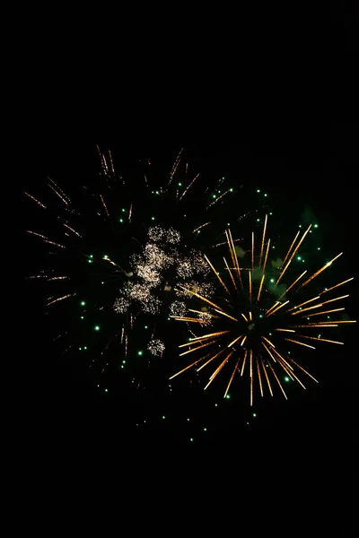 Függőleges Felvétel Tűzijáték Fekete Háttér — Stock Fotó