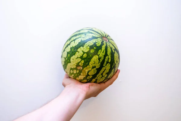 Closeup Shot Stretched Male Hand Holding Whole Watermelon Isolated Background — Stock Photo, Image