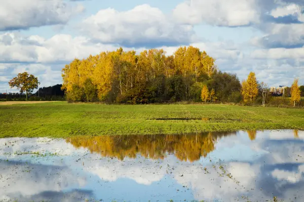 Krásný Záběr Žlutých Podzimních Stromů Oblačným Nebem Pozadí — Stock fotografie