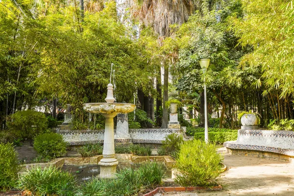 Ein Öffentlicher Park Malaga Park Costa Del Sol Malaga Andalusien — Stockfoto