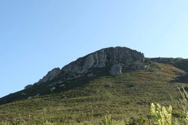 Lady Slipper Berggipfel Der Nähe Von Gqeberha Südafrika Dies Ist — Stockfoto