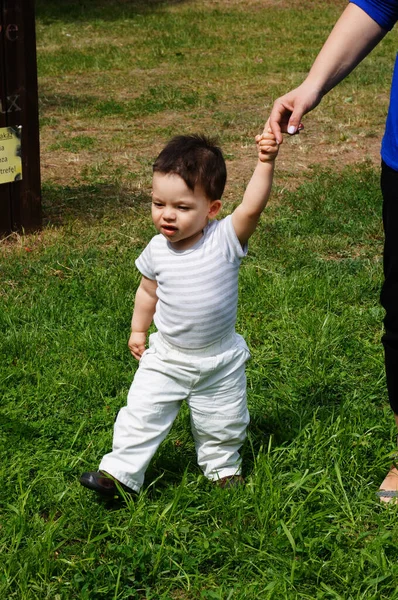 Poznan Poland May 2015 One Year Old Child Holding His Stock Picture