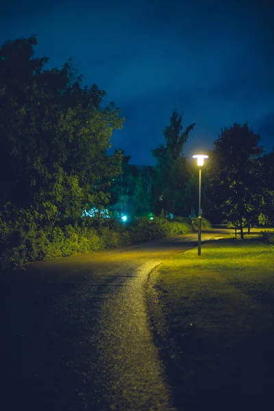 Gece Gökyüzünün Altındaki Bir Patikanın Dikey Görüntüsü — Stok fotoğraf