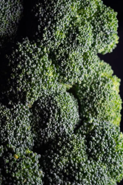 Penutup Vertikal Brokoli Pada Latar Belakang Gelap — Stok Foto