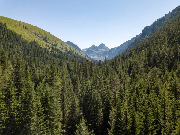 Beau Paysage Avec Des Montagnes Boisées Parfait Pour Papier Peint — Photo