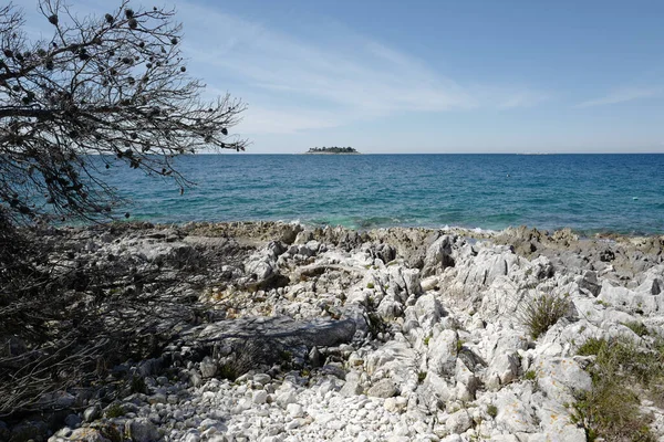 Kalme Adriatische Zee Vanaf Een Rotsachtige Kust Dalmatië Kroatië — Stockfoto