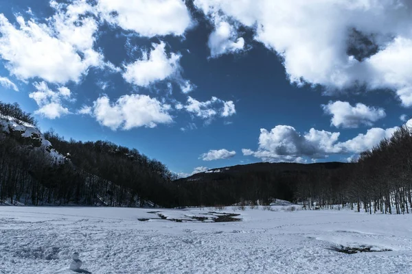 Paisaje Invernal Con Árboles Desnudos Bajo Cielo Azul Brillante — Foto de Stock