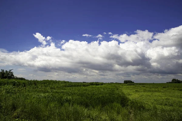 Eine Hochauflösende Aufnahme Einer Grünen Ländlichen Landschaft Und Einer Schönen — Stockfoto