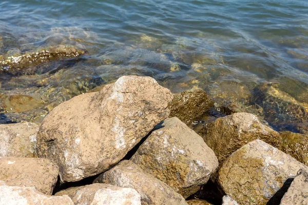Sebuah Foto Closeup Dari Batu Berlumut Laut — Stok Foto