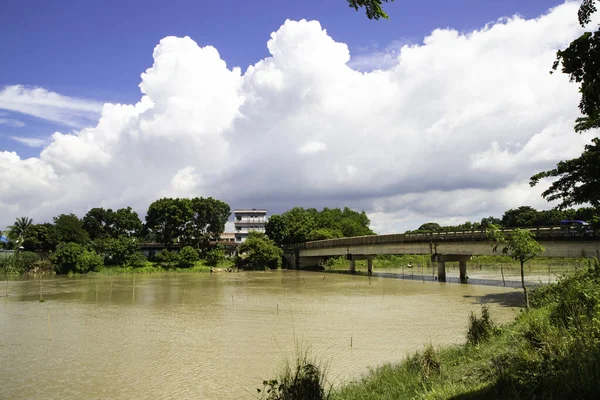 湖と美しい白い雲が空の下にぶら下がっている公園風景のクローズアップショット — ストック写真