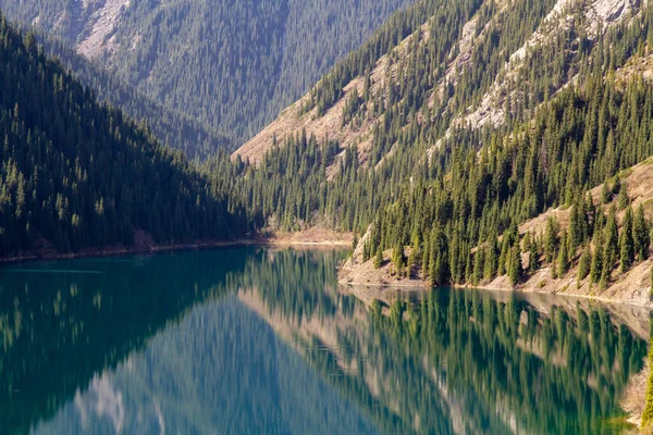 哈萨克斯坦科尔赛湖美丽的风景被针叶树覆盖着 — 图库照片