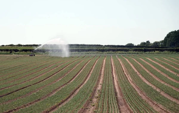 Campo Cultivos Nottinghamshire Siendo Regado — Foto de Stock