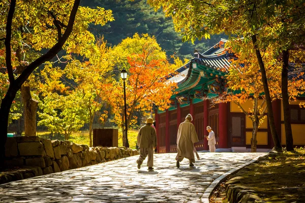 Yangsan Corea Sur Nov 2017 Primer Plano Monjes Templo Tondosa —  Fotos de Stock