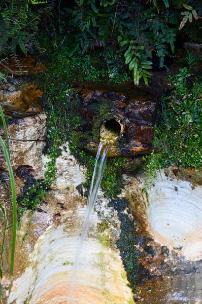 Eau Source Dans Forêt Lawson Dans Les Blue Mountains Australie — Photo