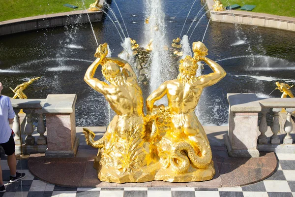 Close Uma Bela Fonte Dourada Palácio Peterhof São Petersburgo — Fotografia de Stock