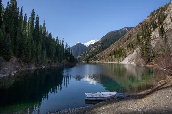 Bela Paisagem Lago Kolsai Coberto Com Árvores Coníferas Cazaquistão — Fotografia de Stock