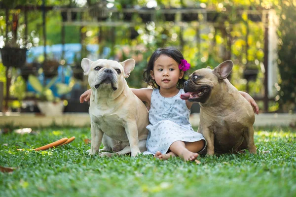 Uma Miúda Sudeste Asiático Sentada Entre Dois Bulldogs Franceses Jardim — Fotografia de Stock
