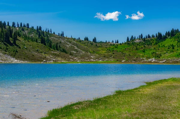 Une Belle Vue Sur Lac Calme Entouré Arbres Verts — Photo