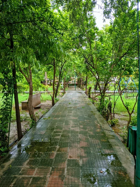 Yağmurlu Bir Yaz Gününde Ortasında Taş Kaldırım Olan Bir Parkta — Stok fotoğraf