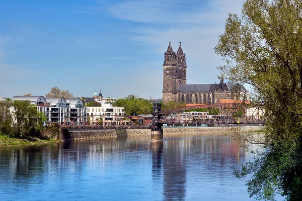 Una Vista Del Río Elba Catedral Medieval Fondo Magdeburgo Alemania — Foto de Stock