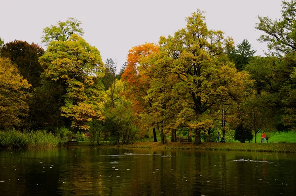 Uma Vista Panorâmica Lago Calmo Com Deserção Árvores Outonais Céu — Fotografia de Stock