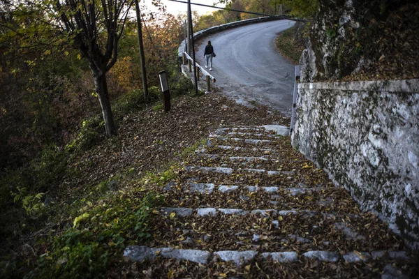 Escadas Velhas Que Conduzem Uma Estrada Curvilínea Parque Coberto Árvores — Fotografia de Stock