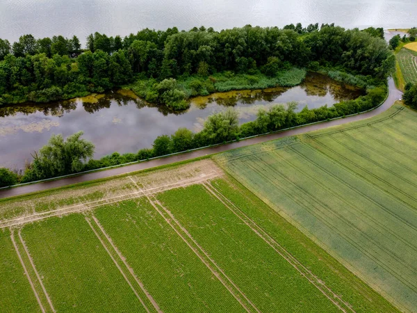 Een Luchtfoto Van Groene Dichte Bossen Een Vijver — Stockfoto