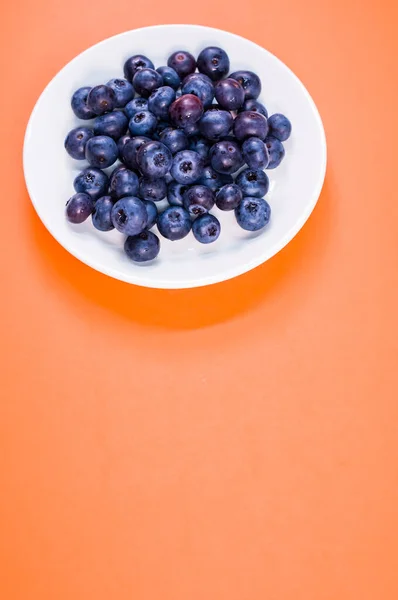 Top View White Plate Filled Fresh Ripe Blueberries Isolated Pink — Stock Photo, Image